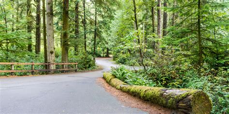 Honeyman State Park Campground - Oregon Dunes National Recreation Area ...