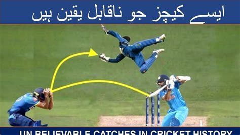 Best cricket catches 2019 | top ten catches in cricket - YouTube