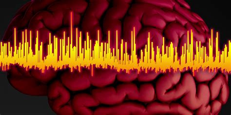 Brain signals for drug screening | ETH Zurich