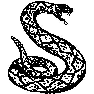 Rattlesnake Black And White Clipart