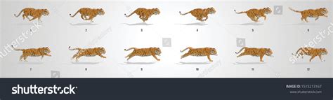 2,924 Tiger running vector Images, Stock Photos & Vectors | Shutterstock