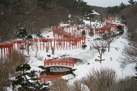 A winter trip to Aomori: Hirosaki Snow Lantern Festival | InHokkaido