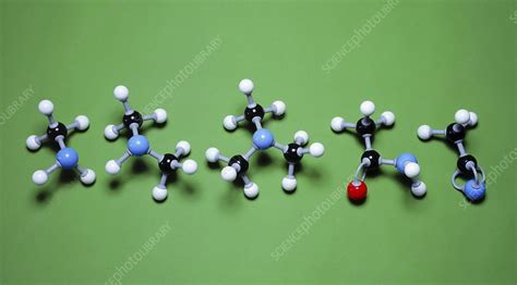 Organic molecules with nitrogen - Stock Image - C019/4827 - Science Photo Library