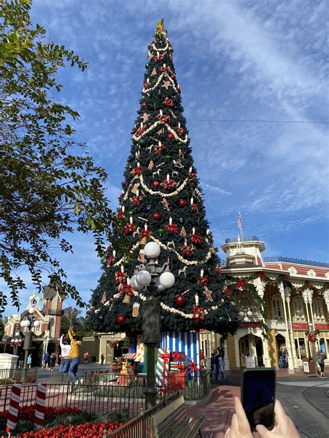 Christmas Trees at Walt Disney World - Must Love Travel