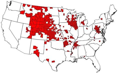 'Zombie deer' disease has been reported in more than half the US: What ...