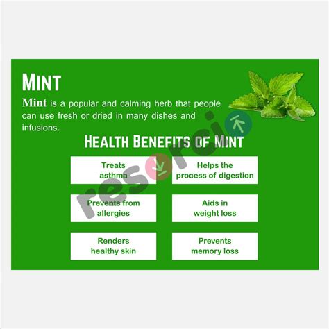 Health Benefits of Mint - 01