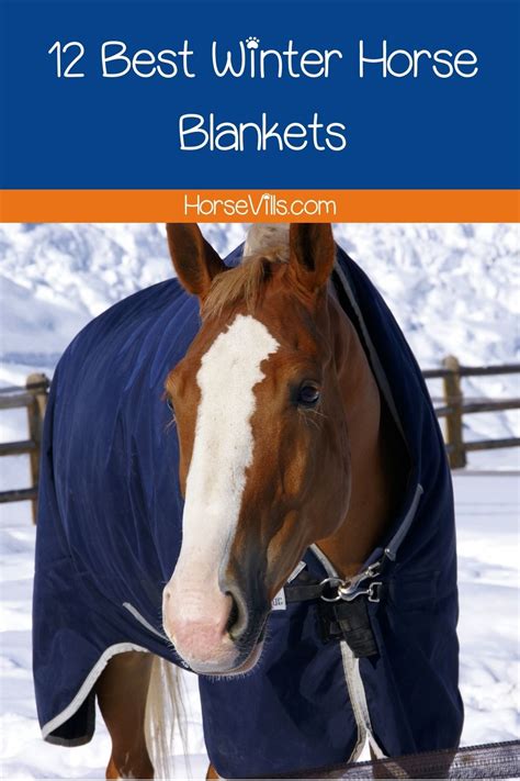 12 Best Winter Horse Blankets (2024 Review & Top Picks)