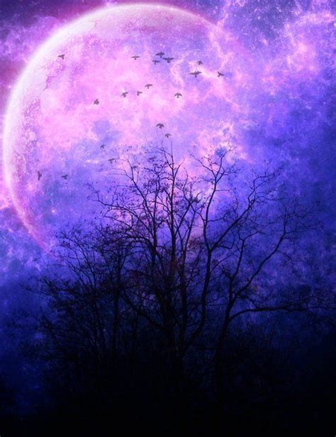 #purple | Beautiful moon, Spring scenery, Scenery