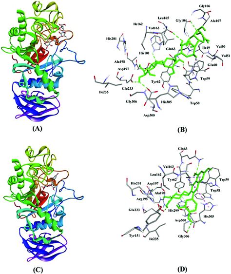 Inhibition of a-amylase activity by Acarbose and compound 1. (A ...