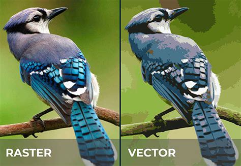 Raster images vs vector images - devilgerty