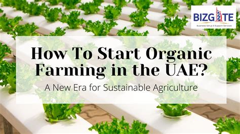 How To Start Organic Farming in the UAE?