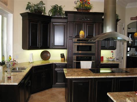 Future kitchen...only thing i need is a wine rack | Black kitchen cabinets, Contemporary kitchen ...