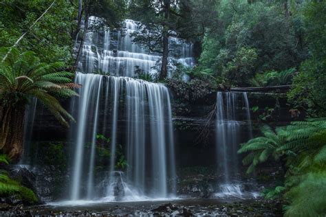 Russell Falls, Tasmania [2048x1365] : r/waterporn