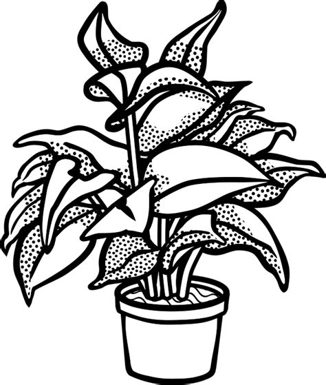 식물 냄비 · Pixabay의 무료 벡터 그래픽