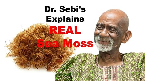 MEDICINE: Dr Sebi - Natural - Sea Moss