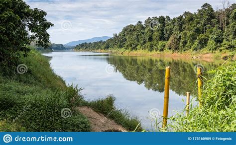 Periyar River, Kerala Royalty-Free Stock Image | CartoonDealer.com ...