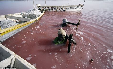 Wonderful Discover Lake Retba, Senegal