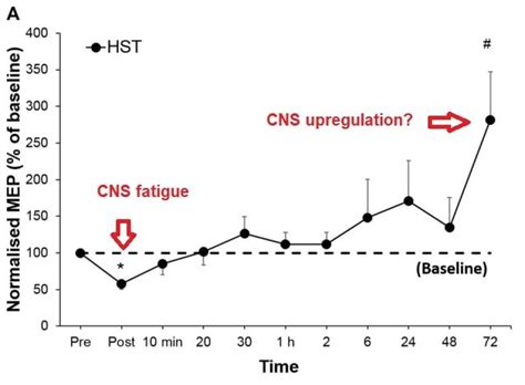 3 Mythes sur la fatigue du SNC | Kathryn Coltrin