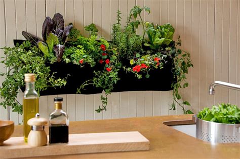 How to Grow an Indoor Garden - Cache Valley Family Magazine