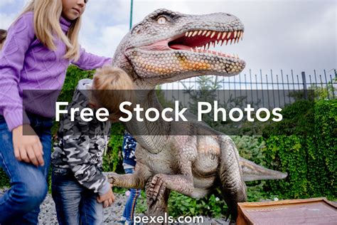 Kids Museum Dinosaur Photos, Download The BEST Free Kids Museum ...