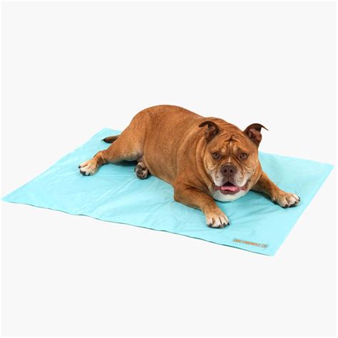 Dog Cooling Mat – Dog Friendly Co.