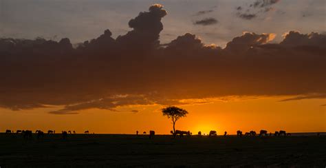 Masai Mara Game Reserve, Kenya Sunrise Sunset Times