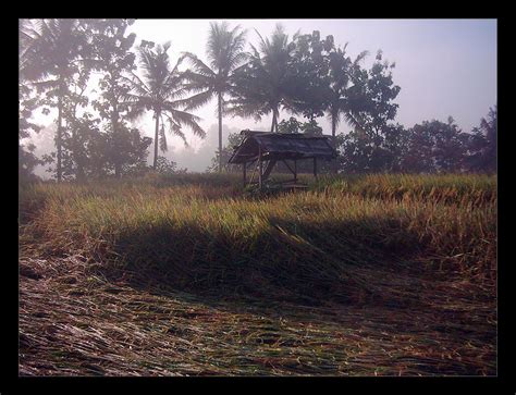 Gubuk Sawah by latebraking on DeviantArt