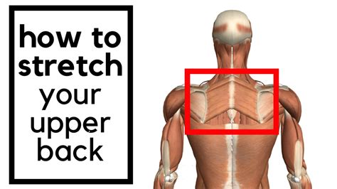 How to stretch your upper middle back - rhomboid muscle - AW BOON WEI