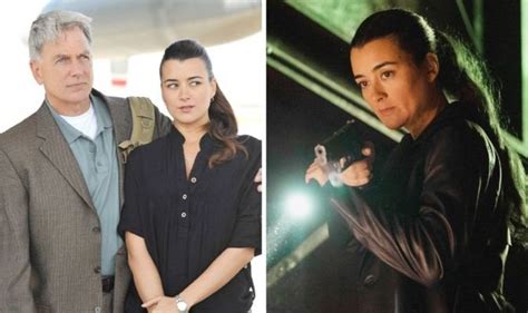 NCIS season 19: Ziva return ‘sealed’ by Gibbs foreshadowing | TV ...