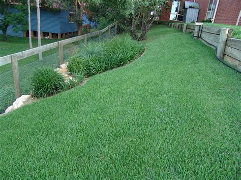 Zoysia Turf Grass Supplier Brisbane Gold Coast - Zoysia Lawn Block