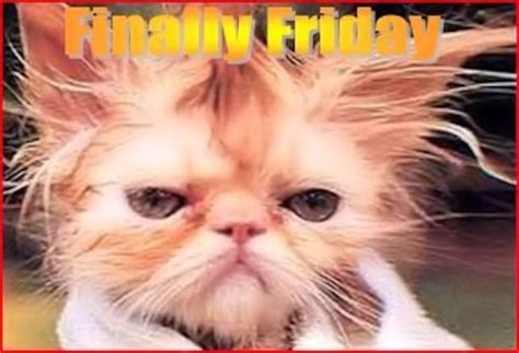 Its finally friday friday happy friday tgif maxine friday quotes friday ...