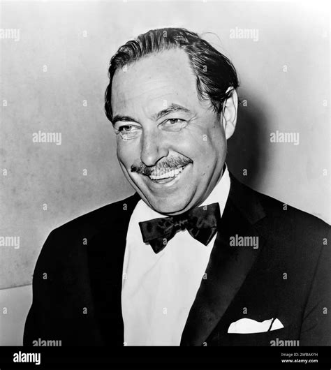 Tennessee Williams, Portrait of the playwright, Thomas Lanier Williams III (1911-1983) in 1965 ...