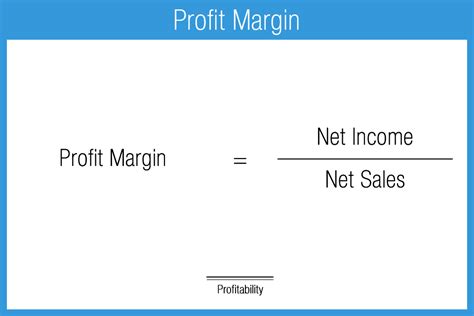 Net Profit Margin – Accounting Play