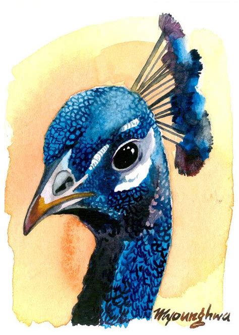 Realistic Peacock Head Drawing - img-jam