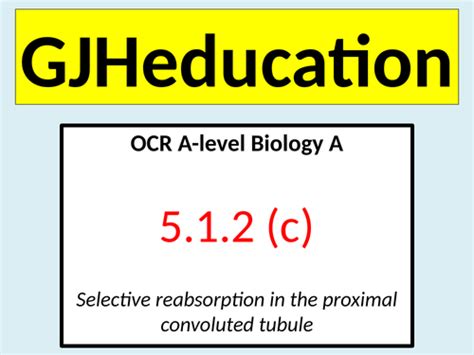 SELECTIVE REABSORPTION (OCR A-level Biology A) | Teaching Resources