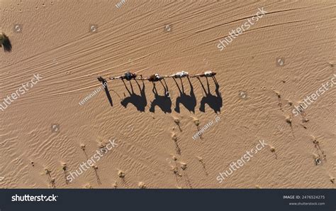 Camel Shadow Desert Wadi Rum Stock Photo 2476524275 | Shutterstock