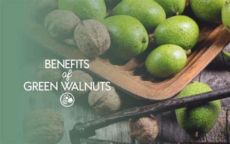 10 Benefits Of Green Walnuts That You Need To Stop Ignoring