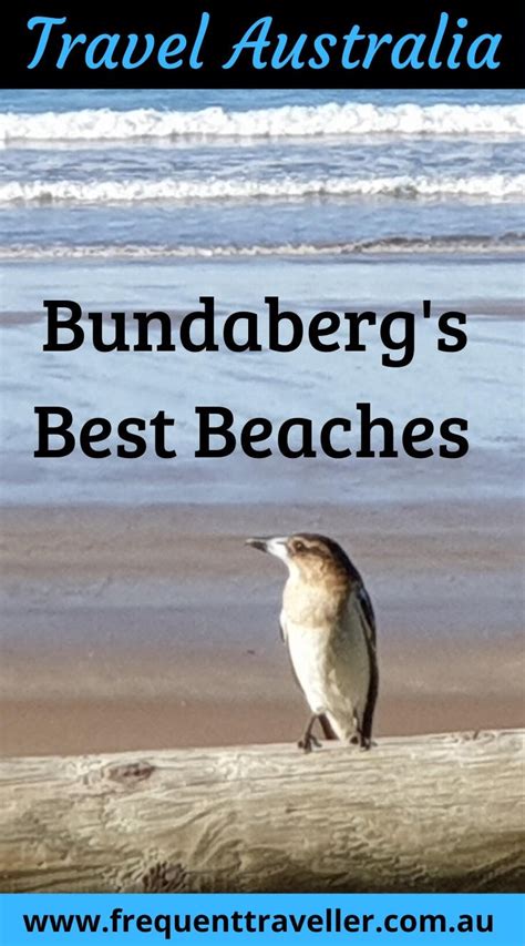 Bundaberg Beaches - Must visit beaches in Bundaberg