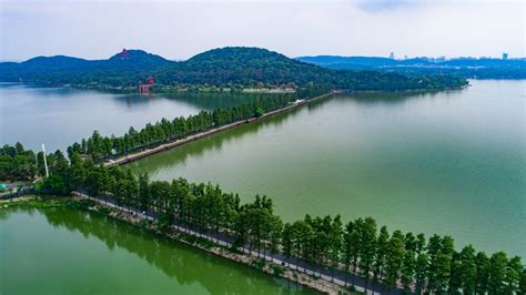 World-class urban greenway slows pace of life in central China's Wuhan