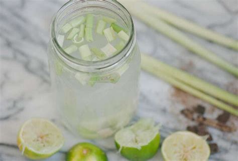 Homemade Tonic Water Recipe