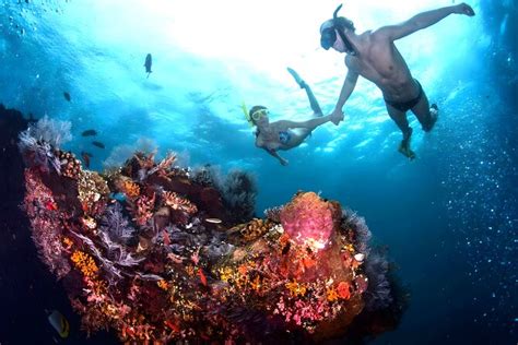 Best Snorkeling Activity In Blue Lagoon Beach Bali