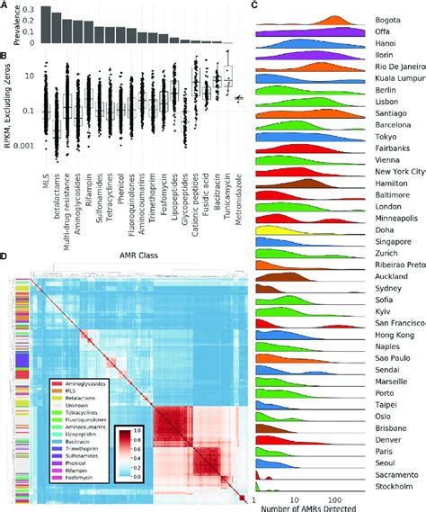 Antimicrobial resistance genes (A) Prevalence of AMR genes with... | Download Scientific Diagram