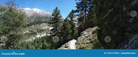 Trekking stock photo. Image of tatu, inclined, strams - 124113938