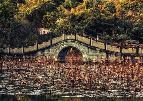 Culture Park, Chengdu, China Stock Image - Image of asian, decoration ...