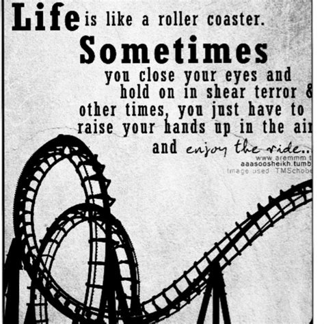 Life Is A Roller Coaster Quotes. QuotesGram