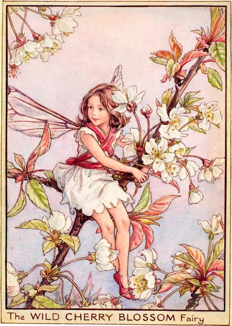 The Wild Cherry Blossom Fairy - Flower Fairies