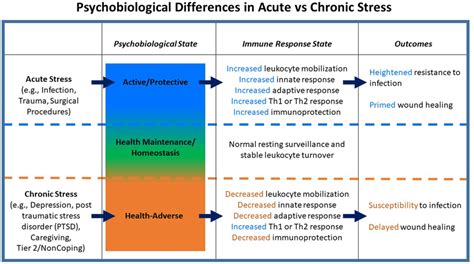 Psychobiologic differences in acute vs chronic stress. Acute stressors ...