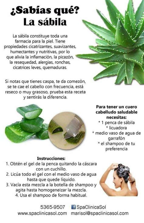 Pin by Miriam Utrilla on Cabello | Natural therapy, Natural treatments ...