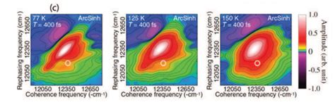 The Quantum Biology Conundrum | MIT Technology Review