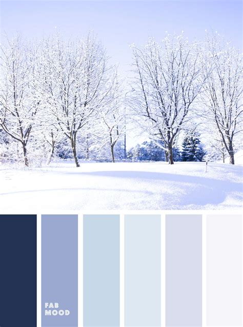 the color scheme is blue and white, with some trees in the snow behind it